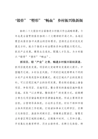 “锻骨”“塑形”“畅血” 乡村振兴焕新颜
