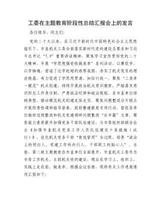 工委在主题教育阶段性总结汇报会上的发言