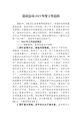 县应急局2023年度工作总结