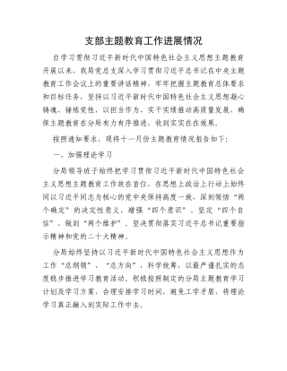 支部主题教育工作进展情况