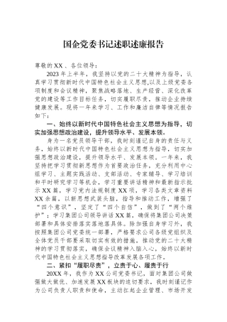 国企党委书记述职述廉报告