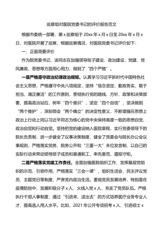 巡察组对医院党委书记的评价报告