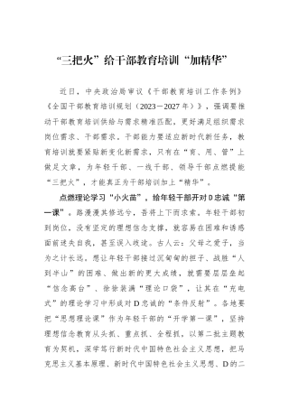 “三把火”给干部教育培训“加精华”