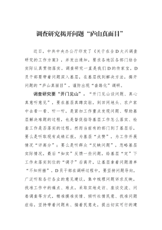 调查研究揭开问题“庐山真面目”