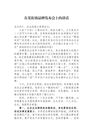 在某街镇品牌发布会上的讲话