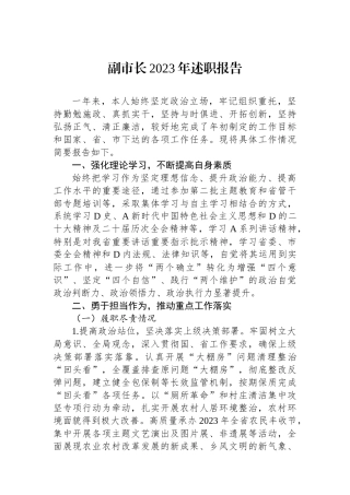 副市长2023年述职报告