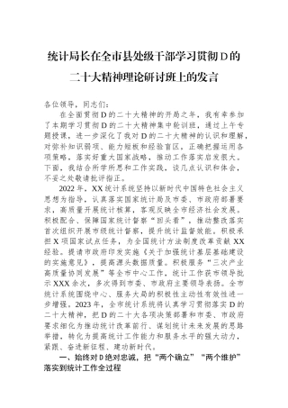 统计局长在全市县处级干部学习贯彻党的二十大精神理论研讨班上的发言