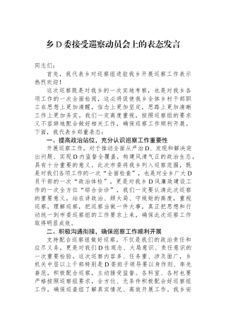 乡党委接受巡察动员会上的表态发言