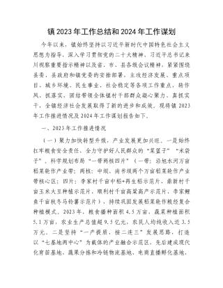 镇2023年工作总结和2024年工作谋划