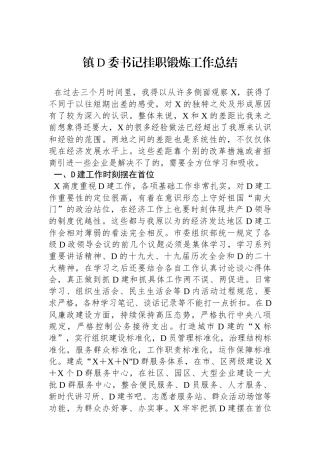 镇D委书记挂职锻炼工作总结