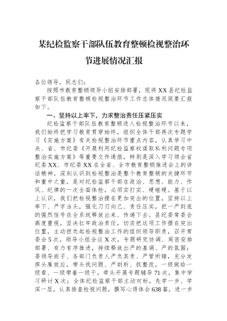 某纪检监察干部队伍教育整顿检视整治环节进展情况汇报