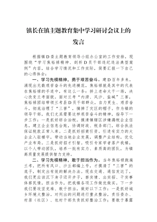 镇长在镇主题教育集中学习研讨会议上的发言
