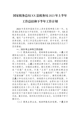 国家税务总局XX县税务局2023年上半年工作总结和下半年工作计划