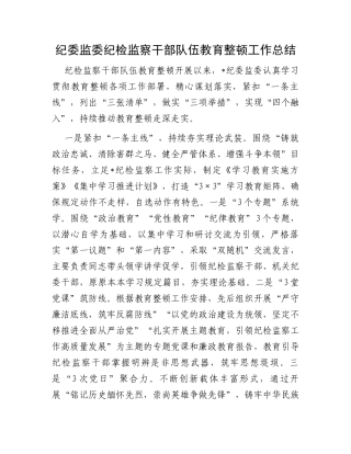 纪委监委纪检监察干部队伍教育整顿工作总结