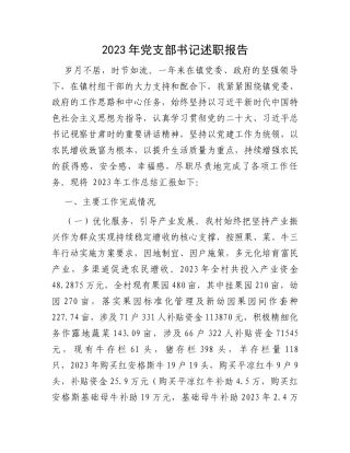 2023年党支部书记述职报告
