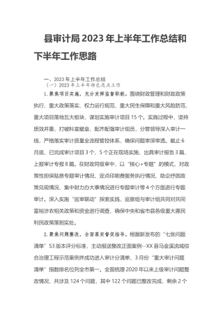 县审计局2023年上半年工作总结和下半年工作思路