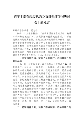 青年干部在纪委机关党支部集体学习研讨会上的发言