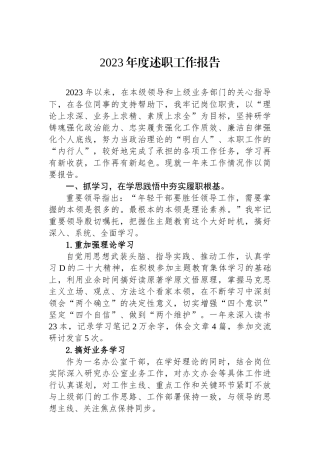 2023年度述职工作报告