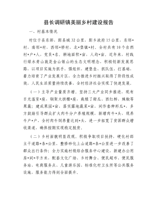 县长调研镇美丽乡村建设报告
