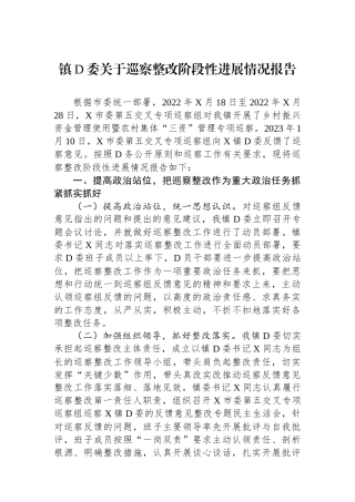 镇党委关于巡察整改阶段性进展情况报告
