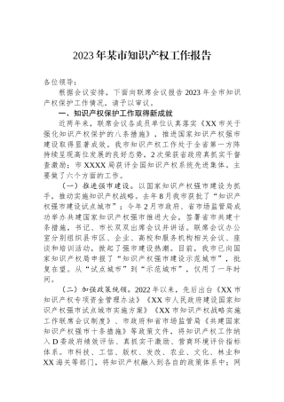 2023年某市知识产权工作报告
