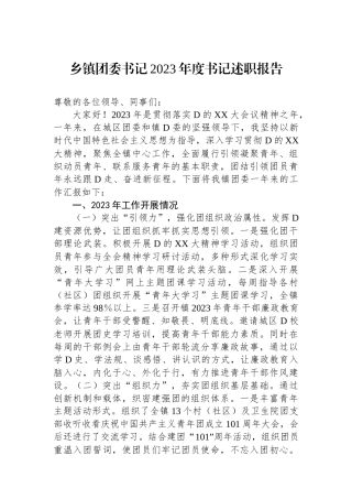 乡镇团委书记2023年度书记述职报告