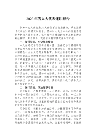 2023年省人大代表述职报告