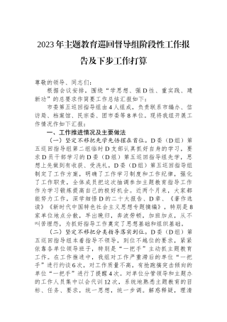 2023年主题教育巡回督导组阶段性工作报告及下步工作打算