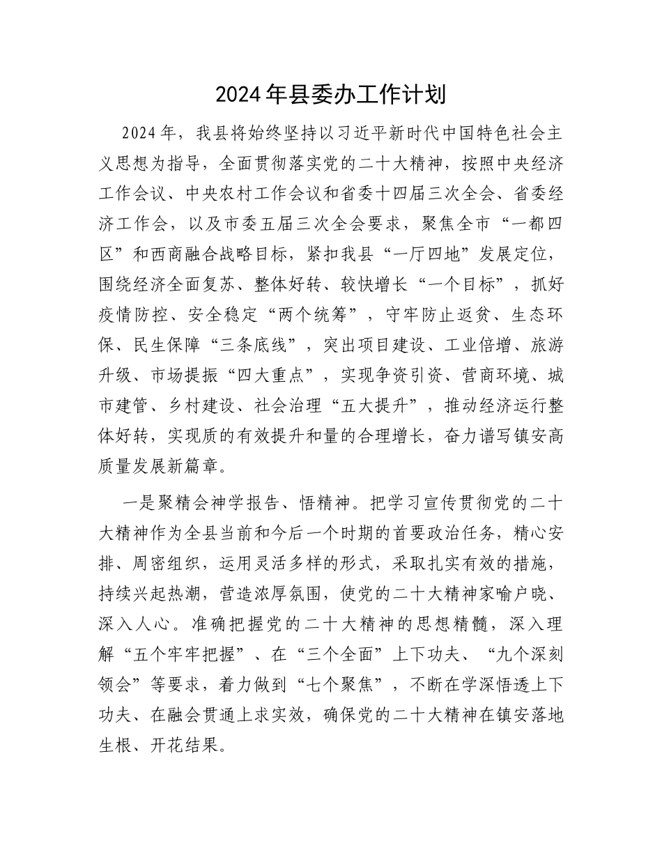 2024年县委办工作计划_第1页