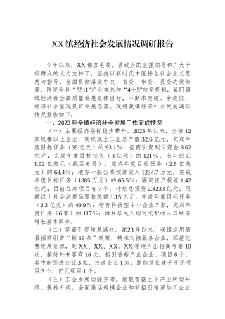 XX镇经济社会发展情况调研报告