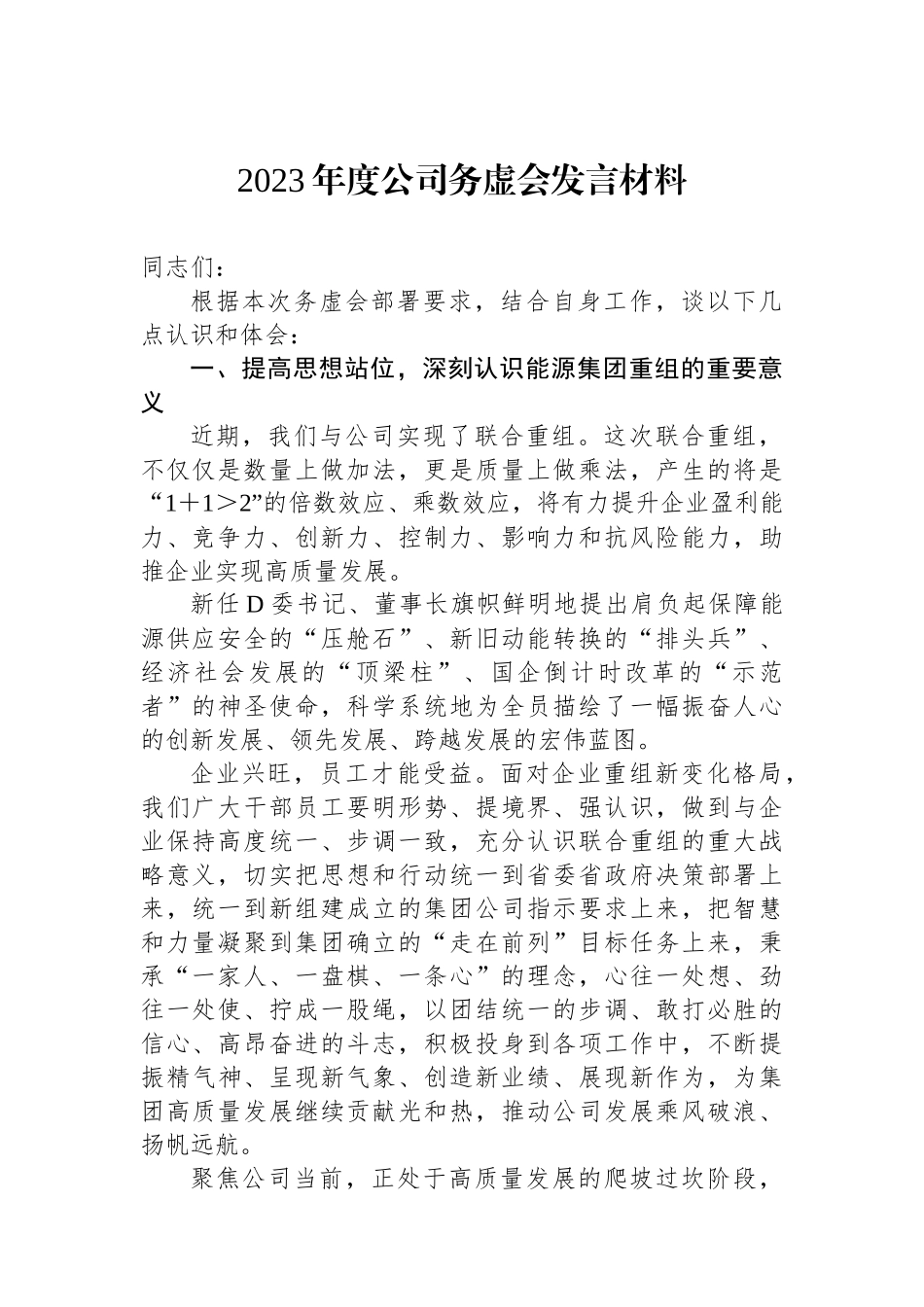 2023年度公司务虚会发言材料_第1页