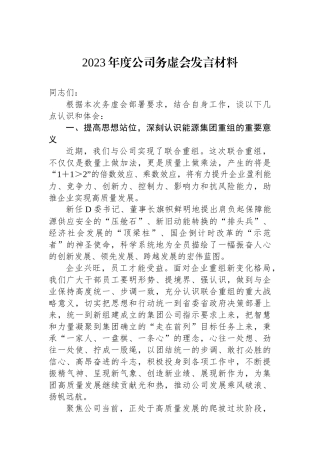 2023年度公司务虚会发言材料