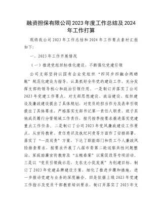 融资担保有限公司2023年度工作总结及2024年工作打算