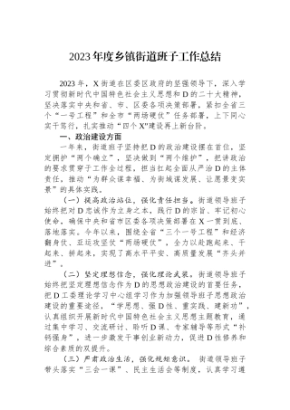 2023年度乡镇街道班子工作总结