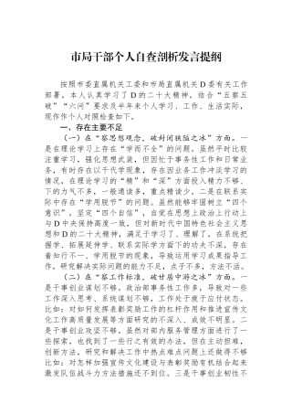 市局干部个人自查剖析发言提纲