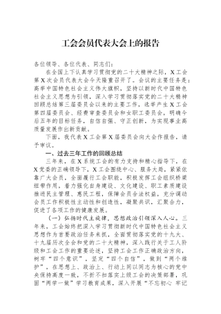 工会会员代表大会上的报告