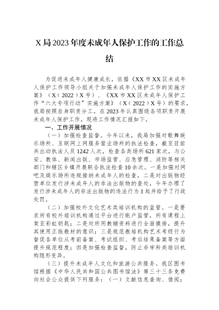 X局2023年度未成年人保护工作的工作总结