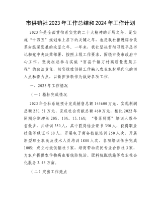 市供销社2023年工作总结和2024年工作计划