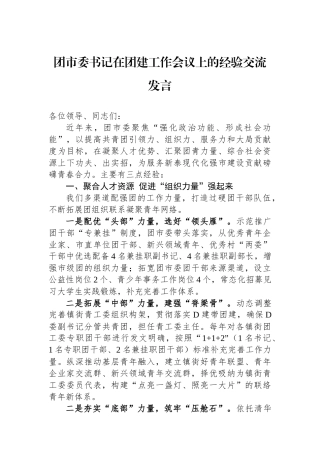 团市委书记在团建工作会议上的经验交流发言