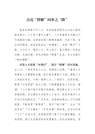 点亮“群雁”回乡之“路”