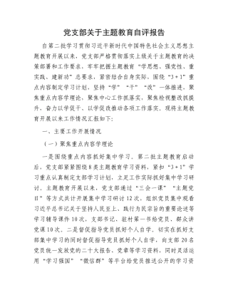 党支部关于主题教育自评报告