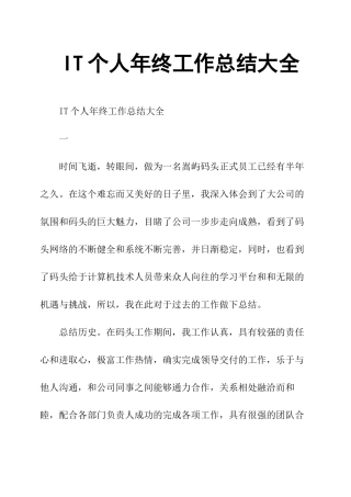 IT个人年终工作总结大全