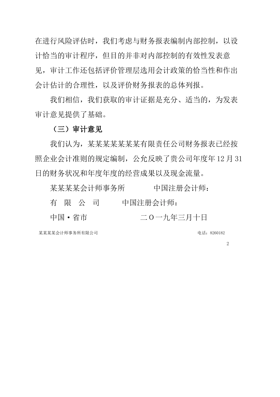 财务审计报告财务审计报告_第2页