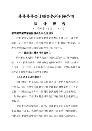 财务审计报告财务审计报告