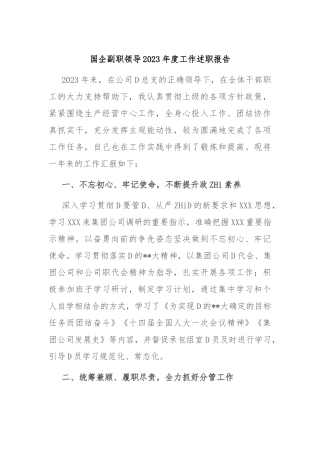 国企副职领导2023年度工作述职报告