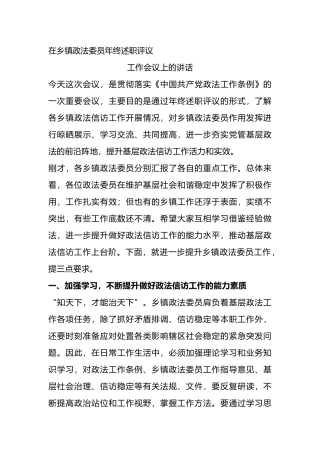 在乡镇政法委员年终述职会上的讲话例文