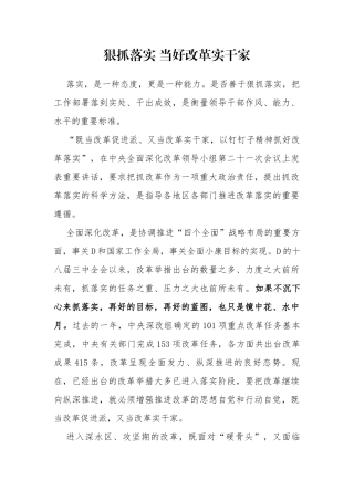 狠抓落实 当好改革实干家