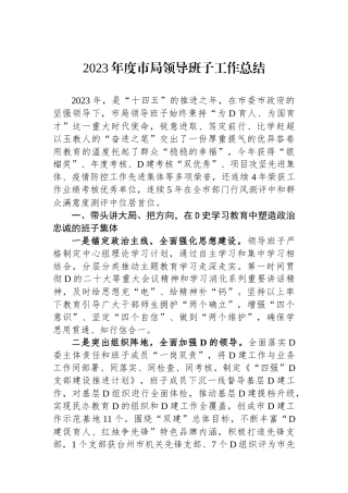 2023年度市局领导班子工作总结
