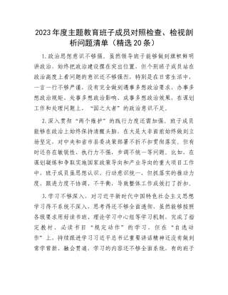 2023年度主题教育班子成员对照检查、检视剖析问题清单（精选20条）