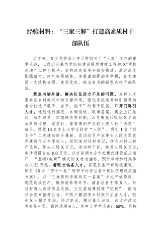 经验材料：“三聚三解”打造高素质村干部队伍
